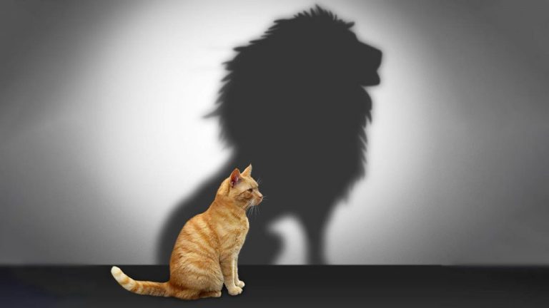 ٣ أسئلة جوهرية لاختيار المدير القائد