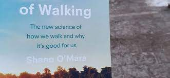 العلم يكتشف من جديد أهمية المشي وفوائده